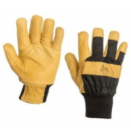 Gants 1549 FOURRE - Gant...